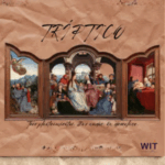 Tríptico - Escuela WIT